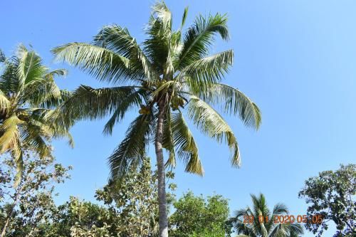 Outdoor Pictures 17