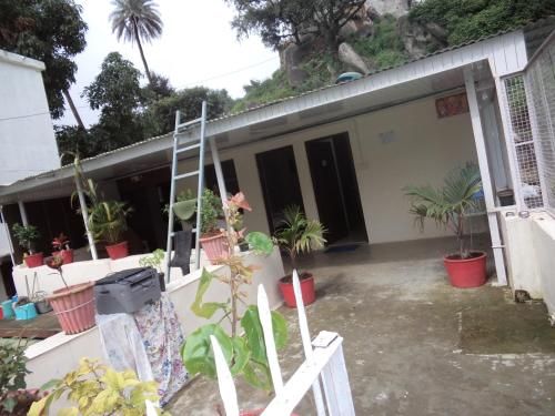 Outdoor Pictures 1