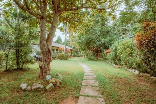 Outdoor Pictures 22