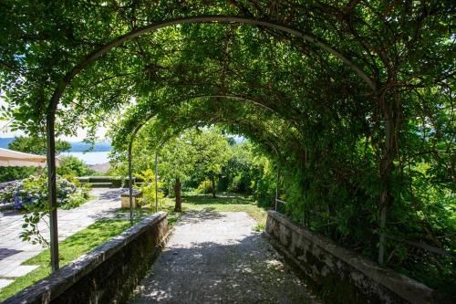 Outdoor Pictures 9