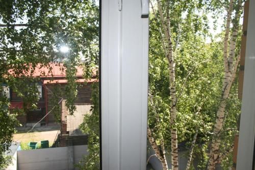 Outdoor Pictures 12
