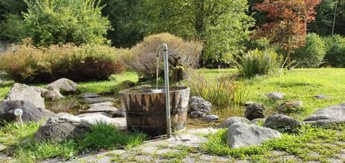 Outdoor Pictures 20