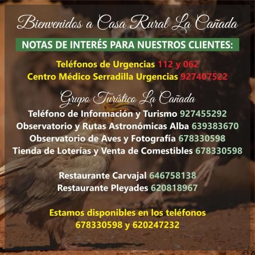 Apts con encanto y patio en monfrague