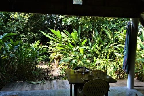 Outdoor Pictures 10