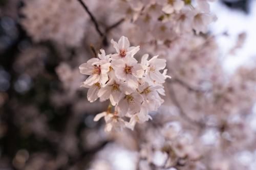 Outdoor Pictures 23