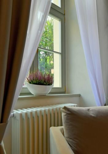 Outdoor Pictures 24