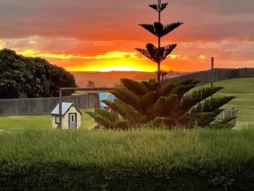 Outdoor Pictures 15