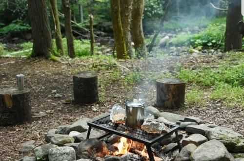 Outdoor Pictures 5
