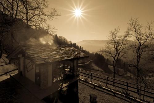 Outdoor Pictures 20