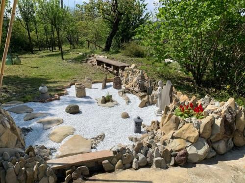 Outdoor Pictures 21