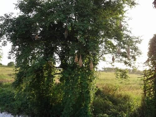 Outdoor Pictures 15
