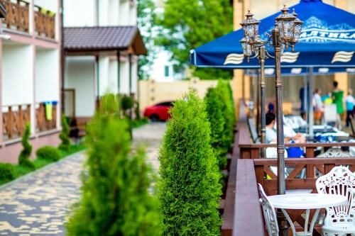 Outdoor Pictures 20