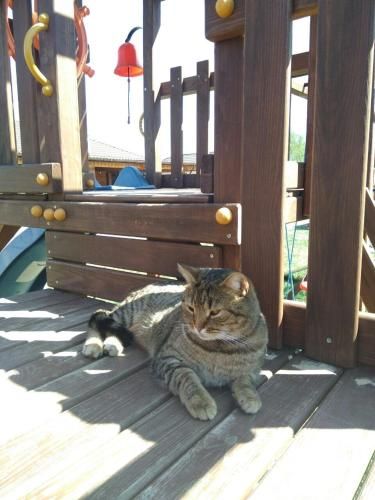 Outdoor Pictures 6