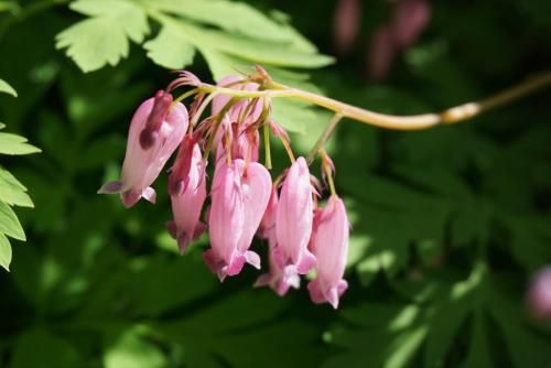 Outdoor Pictures 15