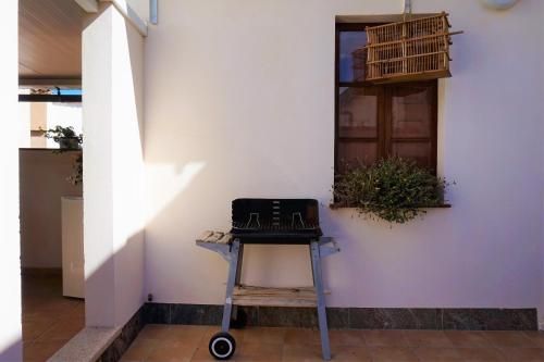 Outdoor Pictures 5