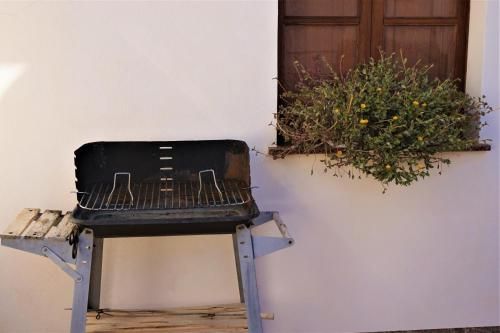 Outdoor Pictures 6