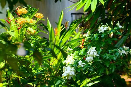 Outdoor Pictures 23