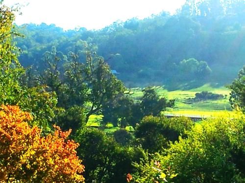 Outdoor Pictures 1