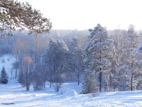 Outdoor Pictures 1