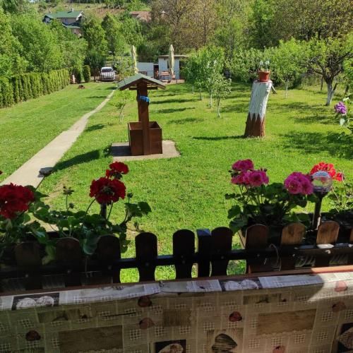 Outdoor Pictures 7