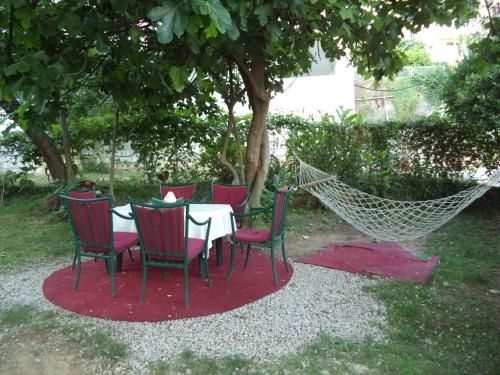 Outdoor Pictures 8
