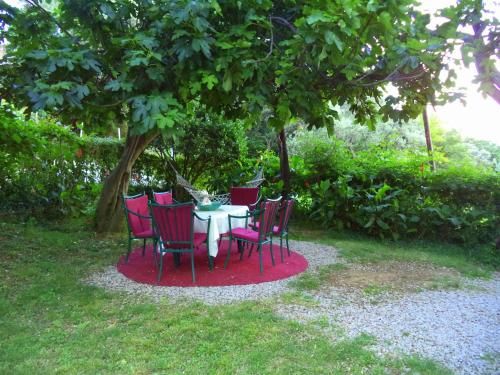 Outdoor Pictures 9