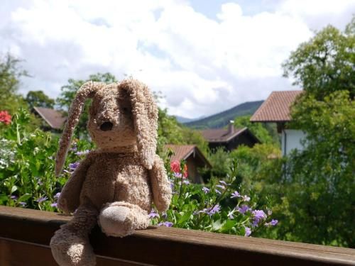 Outdoor Pictures 7