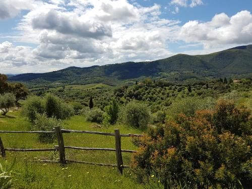 Outdoor Pictures 24