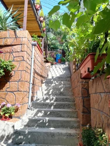 Outdoor Pictures 5