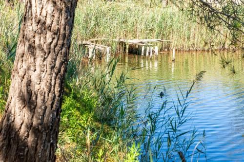 Outdoor Pictures 20