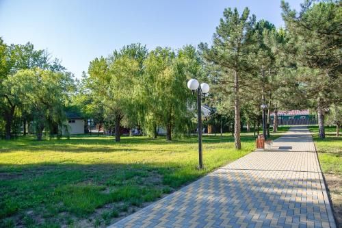 Outdoor Pictures 21