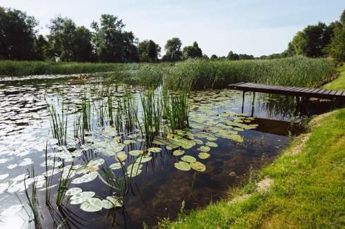 Outdoor Pictures 23
