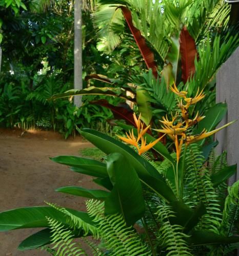 Outdoor Pictures 7