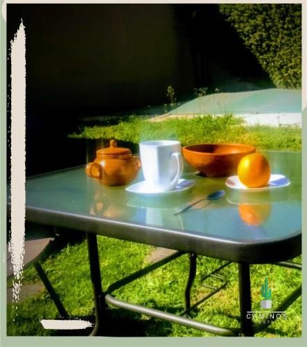 Outdoor Pictures 14
