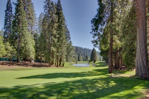 Bears Meadow
