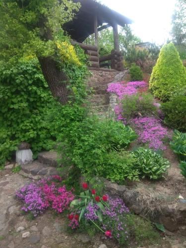 Outdoor Pictures 5