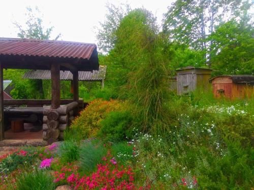 Outdoor Pictures 6