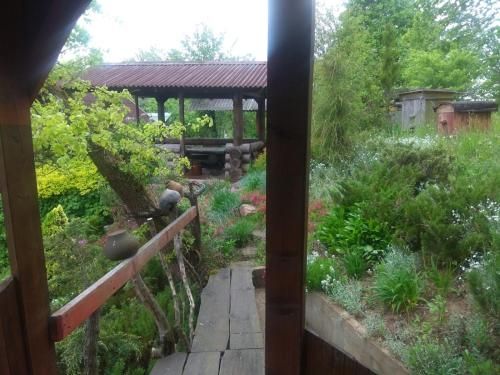 Outdoor Pictures 7