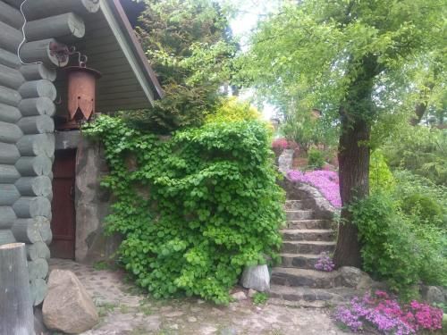 Outdoor Pictures 8