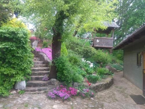 Outdoor Pictures 9