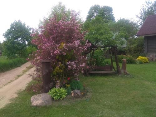 Outdoor Pictures 11