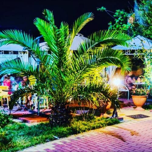 Outdoor Pictures 22
