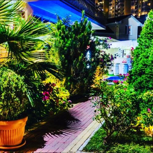 Outdoor Pictures 21