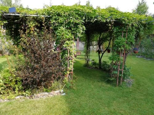 Outdoor Pictures 17