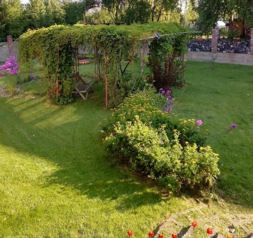 Outdoor Pictures 7