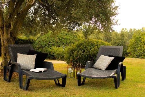 Outdoor Pictures 12