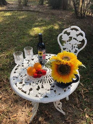Outdoor Pictures 4