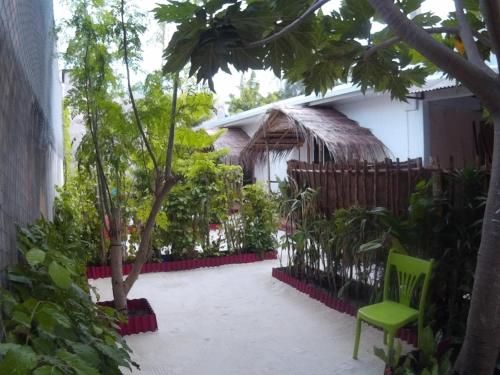 Outdoor Pictures 1
