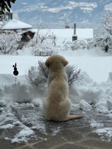Outdoor Pictures 11