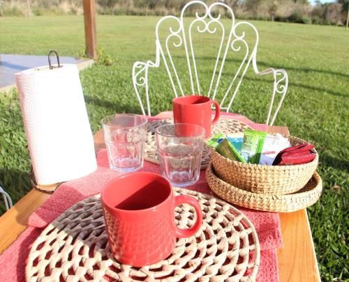 Outdoor Pictures 3